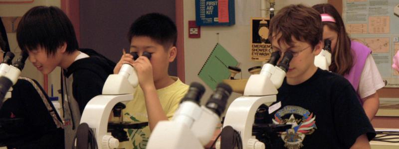 kids looking at microscopes
