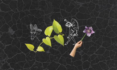 banner graphic with different illustrations