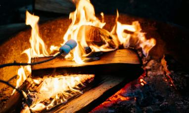 Marshmallows toasting on a fire