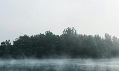 A misty forest with trees in various shades of green reflected on a still body of water.