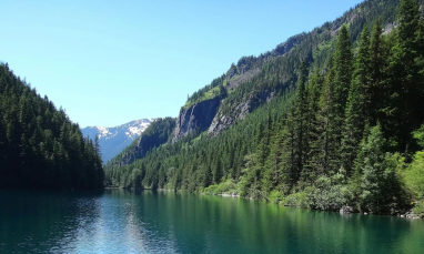A picture of a lake and trees