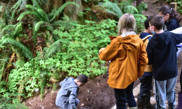 News Elementary Long-Running Salmon Program 02