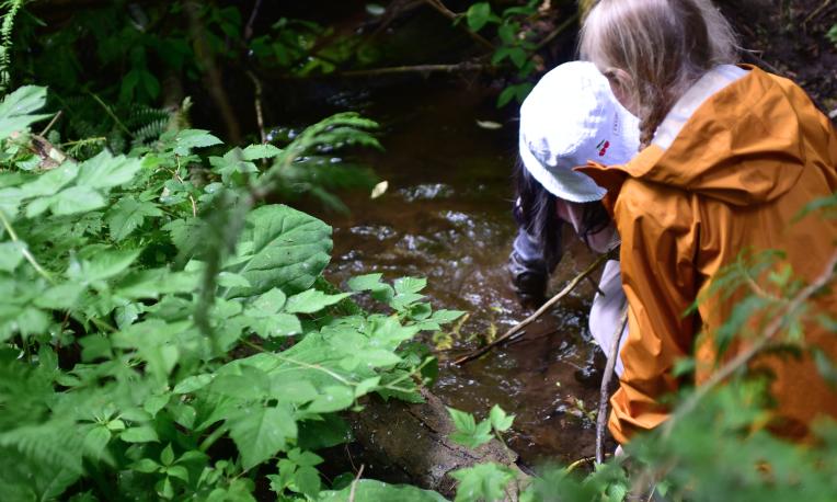 News Elementary Long-Running Salmon Program 04