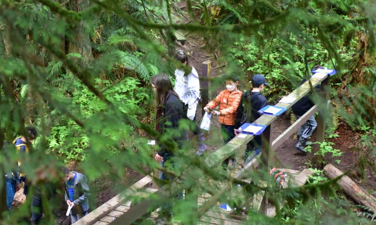 kids outside in the forest