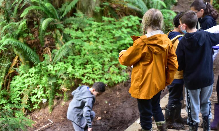 kids playing in the forest