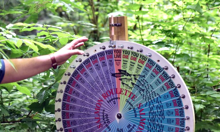 Science of the Valley activity