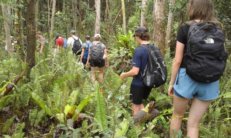 students walking through woods
