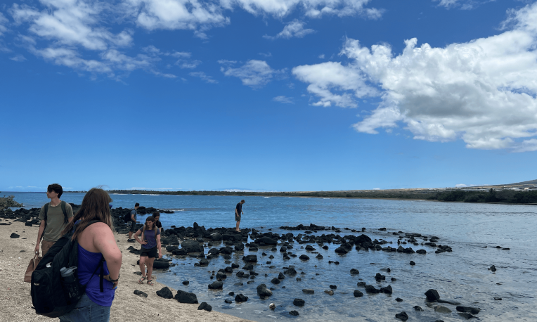 students on beach