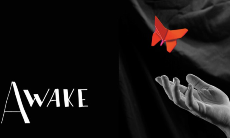 awake theatre show poster