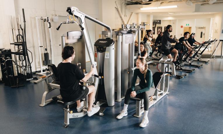 people working out in the gym