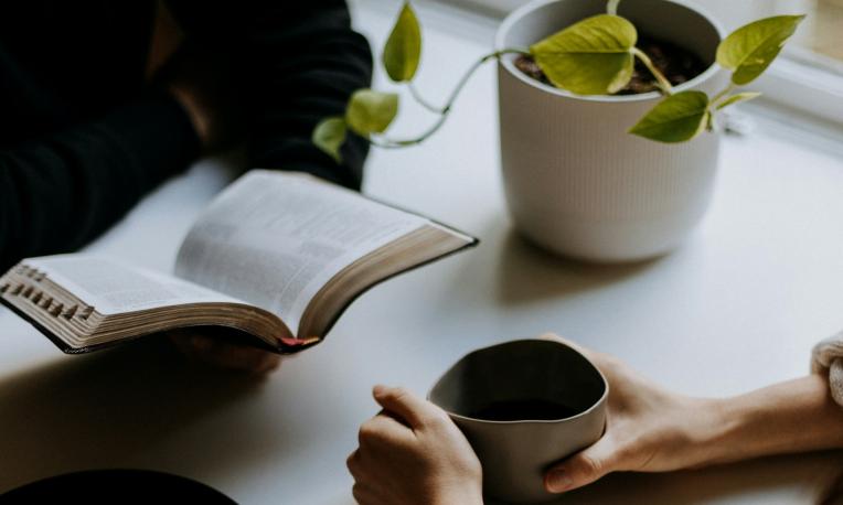 Two people sitting at a table, one reading, the other holding a cup, with a potted plant.