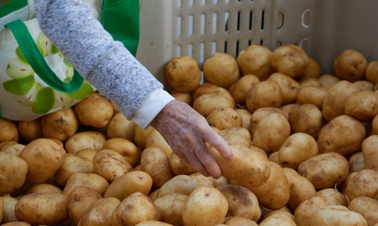 Hand selecting potatoes from a basket.