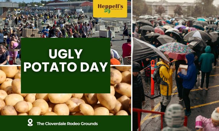 Ugly Potato Day event, crowd with umbrellas in a rainy market.
