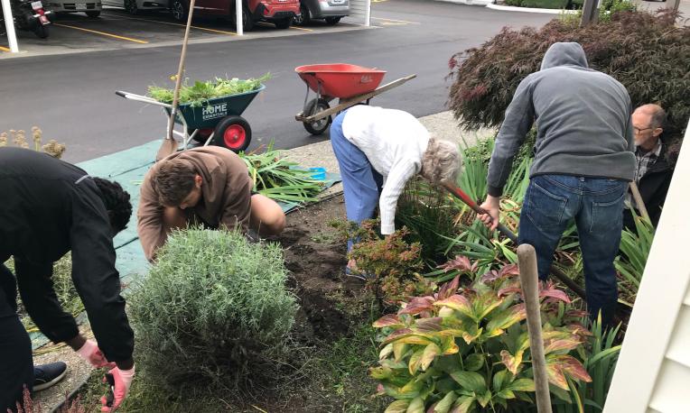 People working outside with plants