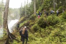 people hiking through woods