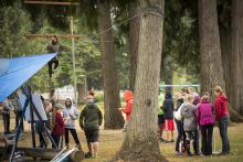 people gathered outdoors in small groups and working together