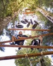 people doing a high ropes course