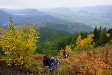team of hikers in a forest in fall