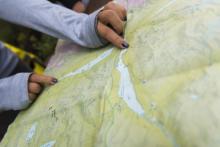 person looking at a map