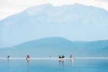 people paddling