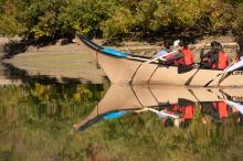 people paddling