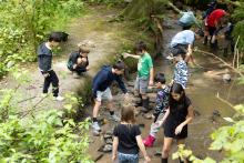 A group of young boys and girls exploring a stream