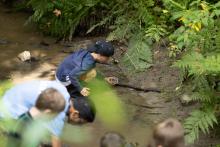 A young boy scooping something out of a stream with a cup