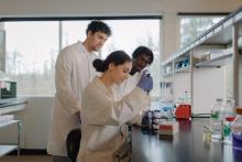 Students doing experiment in Chemistry lab