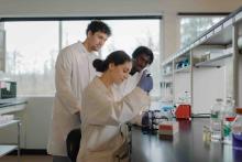 Students doing experiment in Chemistry lab