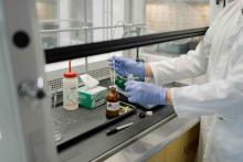 Lab technician in gloves handling liquid samples.