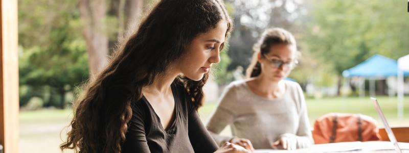 Students working outside