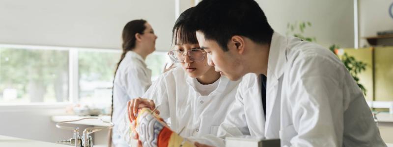 students looking at model of brain in lab