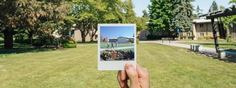 hand holding poloriod in front of green grass and trees