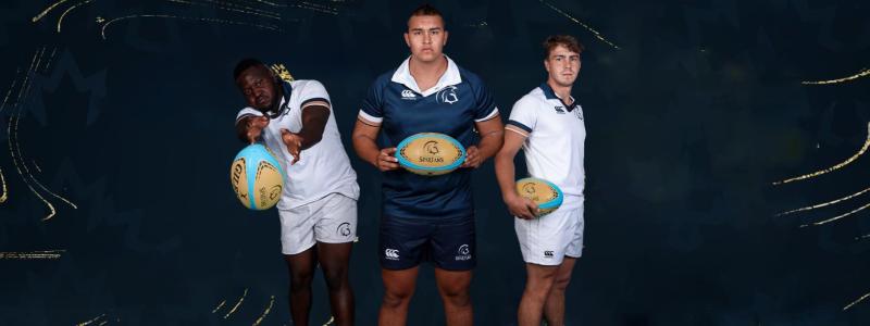 rugby championship banner
