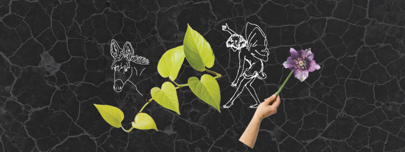 banner graphic with different illustrations
