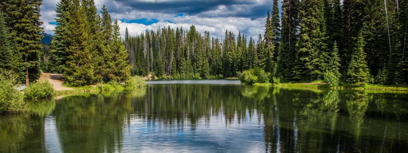 lake with trees around it and blue sky with clouds from Lightning Lake