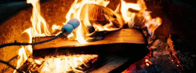 Marshmallows toasting on a fire