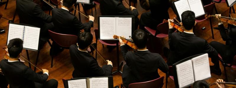 An aerial view of an orchestra.