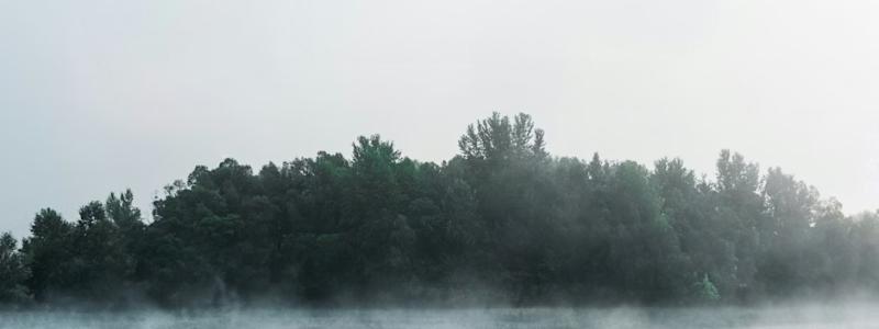 A misty forest with trees in various shades of green reflected on a still body of water.