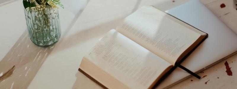 Open book on a sunlit desk with flowers in a vase nearby.