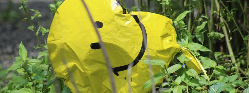 Deflated yellow smiley balloon in green foliage.