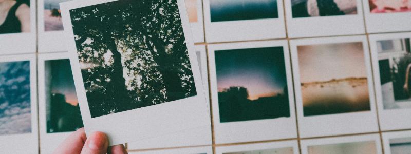 stock photo of Polaroids with a hand holding one in front of a larger collection