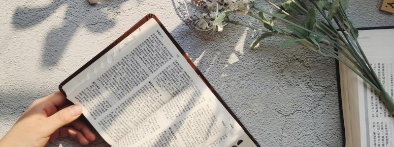 Person reading an open Chinese Bible on a table with flowers and study materials nearby.