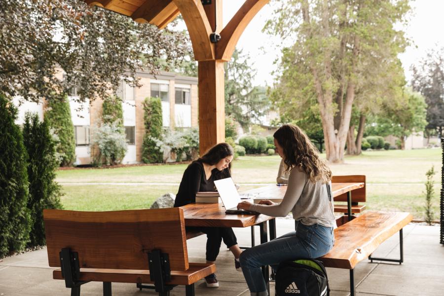 students working in pavilion