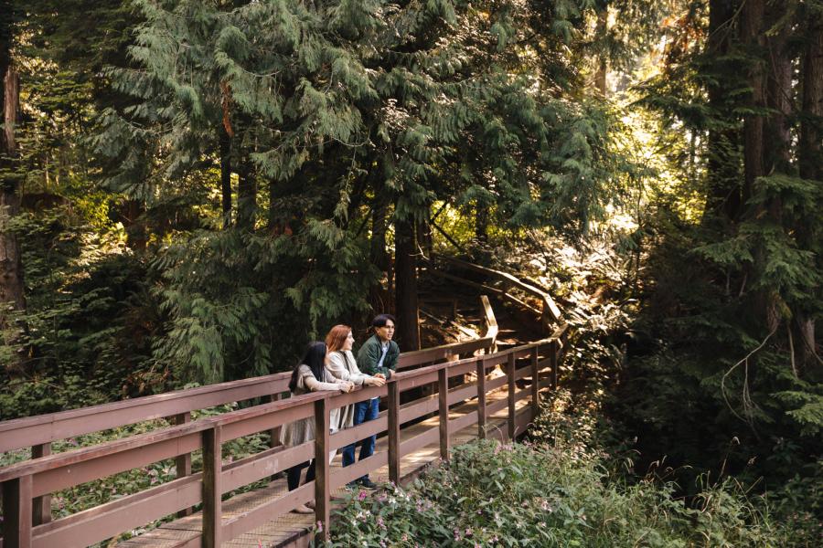 Students on bridge in back forty (back 40).
