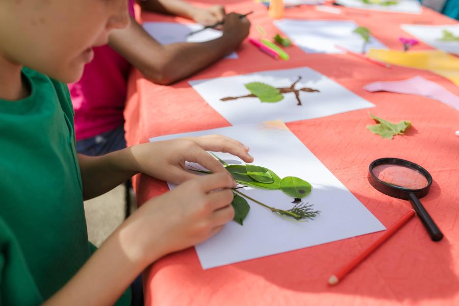 kid making art with leaves