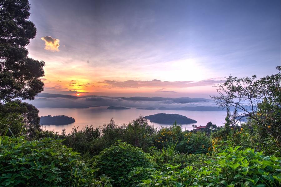 Rwanda forest and water