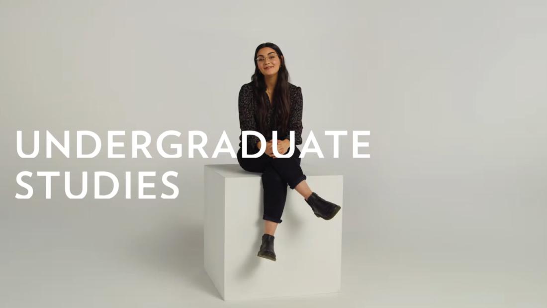 Person explaining Undergraduate Studies