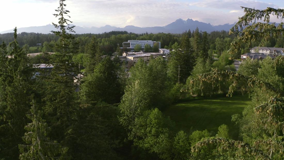 drone view through trees of Langley campus