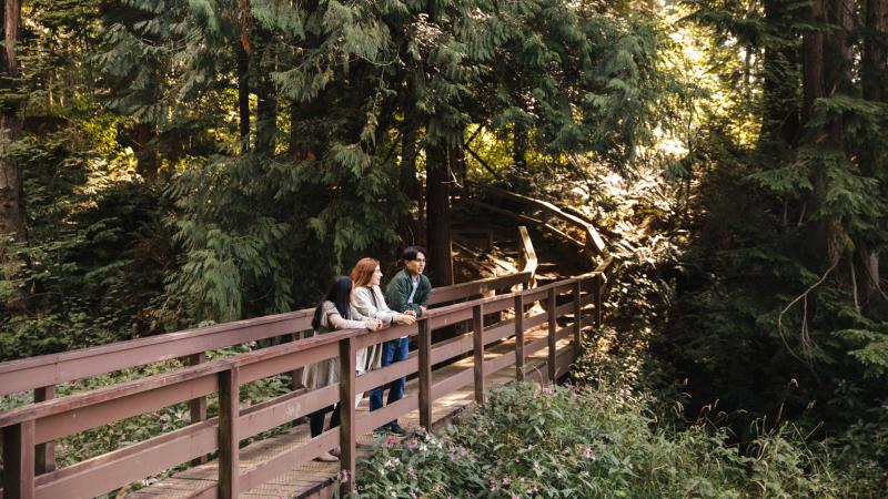 Students on bridge in back forty (back 40).